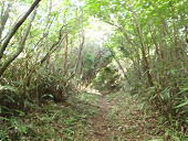 陣ヶ森(じんがもり)の画像その他1