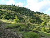 陣ヶ森(じんがもり)の画像その他2