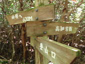 笹ヶ峰(ささがみね)の画像2