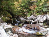 西門山(にしかどやま)の画像その他2