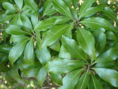 鎌滝山(かまたきやま)の画像その他6