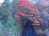 岩躑躅山(いわつつじやま)の画像その他3