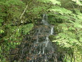 岩躑躅山(いわつつじやま)の画像その他5