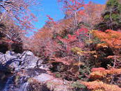 稲叢山(いなむらやま)のその他の画像5