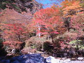 稲叢山(いなむらやま)のその他の画像6