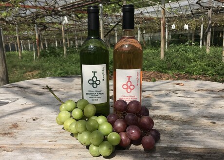 ミシマファームワイナリー 白ロゼとブドウ