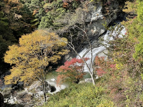 アメガエリの滝2