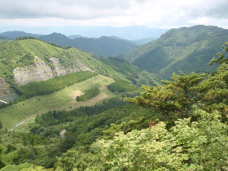 稲叢山（いなむらやま）周辺1