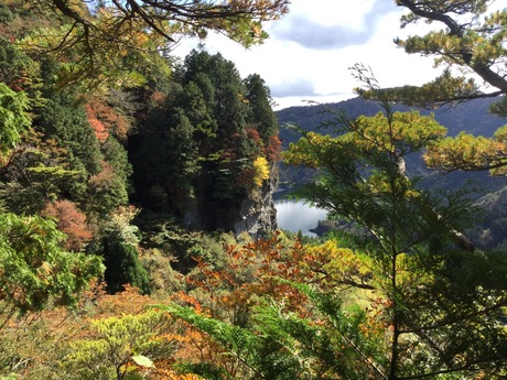 稲叢山（いなむらやま）周辺2