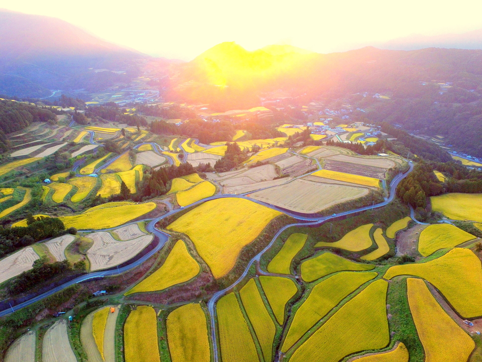 高須の棚田ウォーキング1