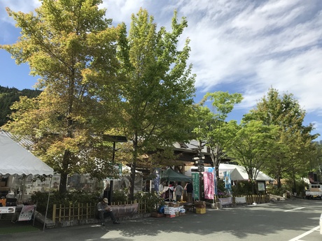 新緑の市（道の駅土佐さめうら）