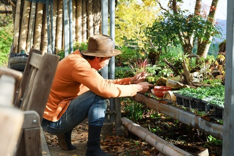 苔玉づくりのようす