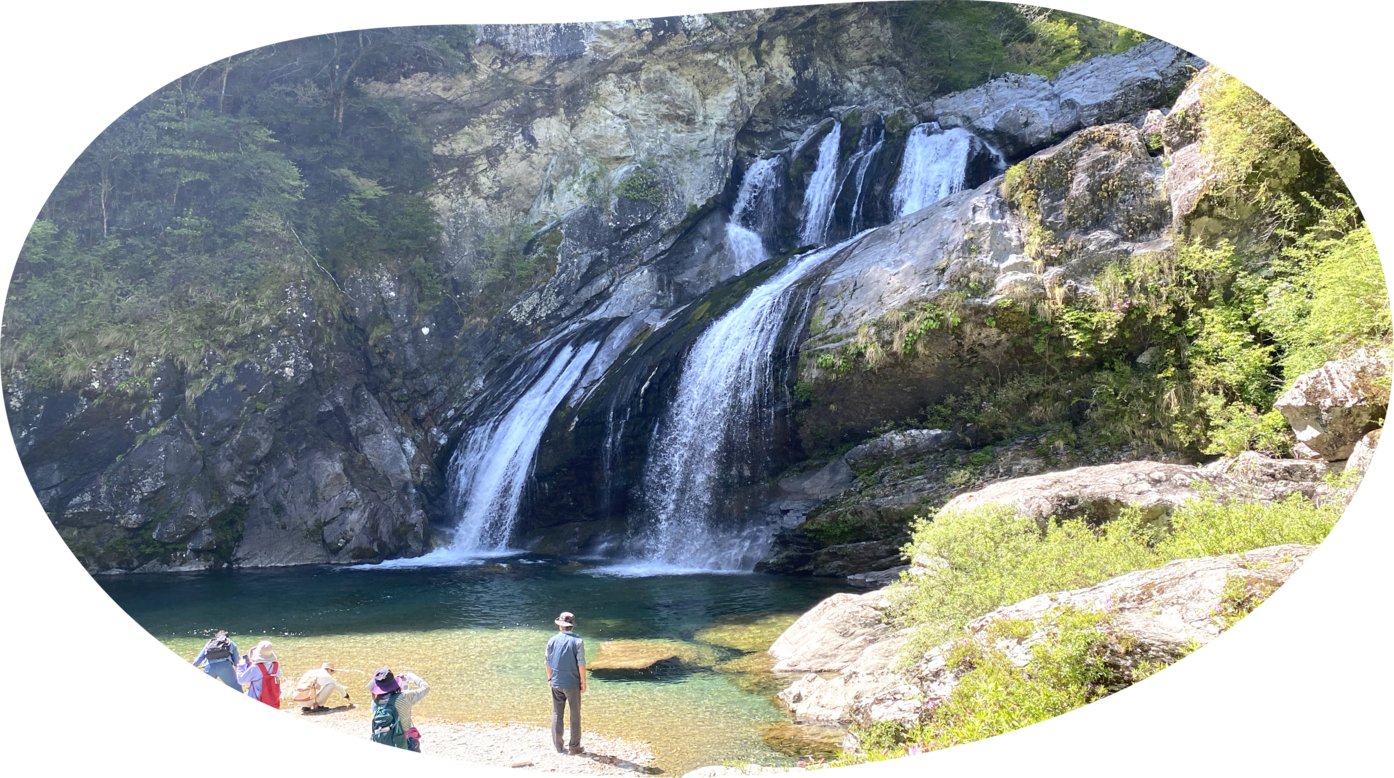 移住サイト「土佐町の滝」