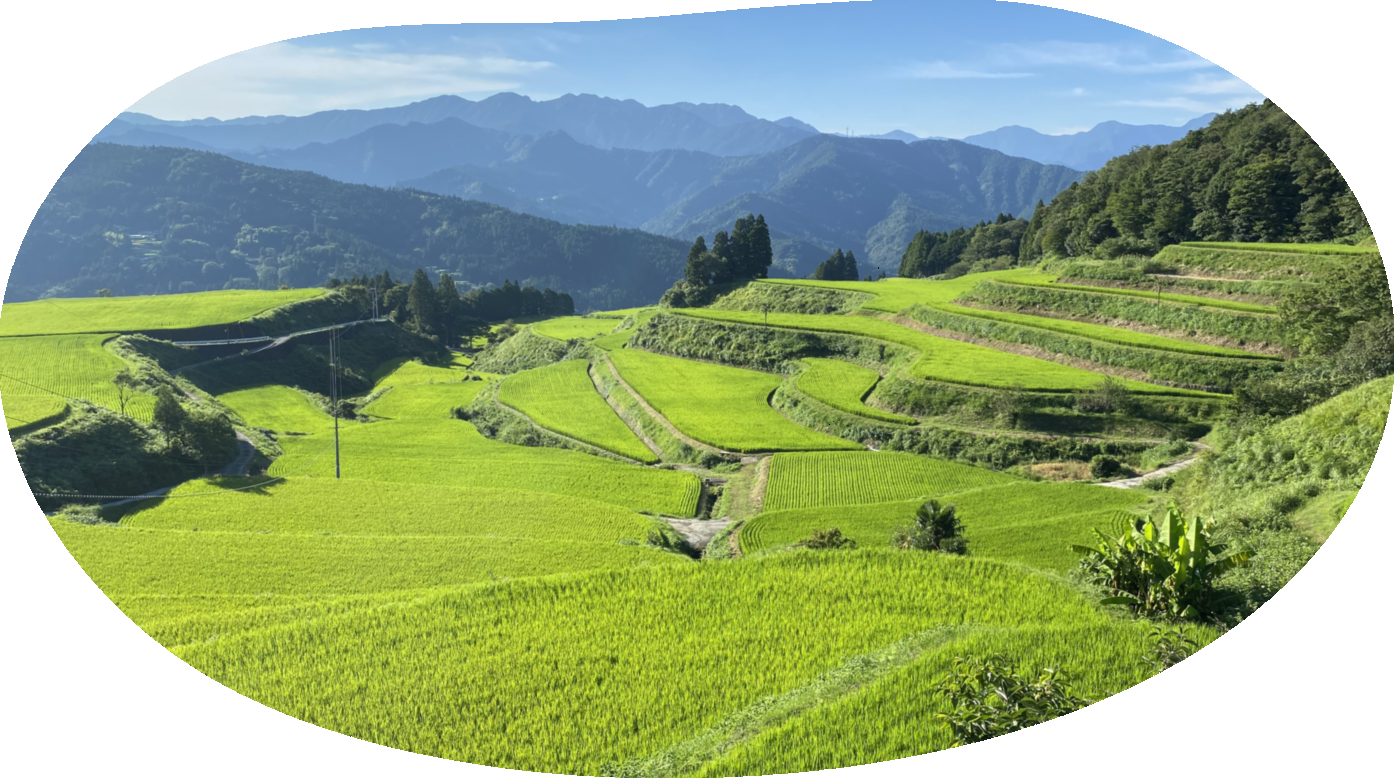 移住サイト「棚田」